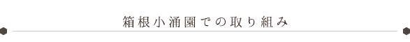 箱根小涌園のピンクリボン運動